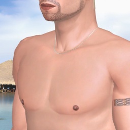 multiplayer virtual sex game player heterosexual verbose boy ZaltheSse, France, France, 