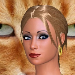 c01017139 0000001670235568