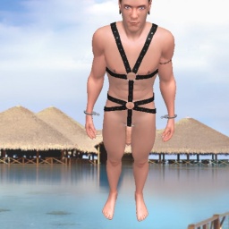 sexgame online MMO playing with adult member bisexual nymphomaniac boy Sub4Shemale2, you can abuse me in any way you want ;-) have some ms/mf