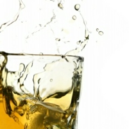 connect and play virtual 3D sex with heterosexual pervert boy GiantCC, In, 