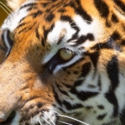 hot online porn game player heterosexual voluble boy Masp100, Abyss, never settle for being the second best.