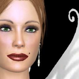 c01229562 0000001572753748