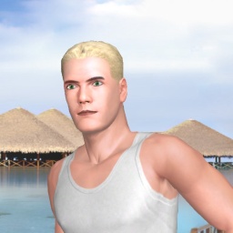 partner heterosexual hot boy Lanko,  for adult online game playing