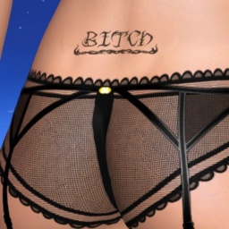 play virtual sex games with mate bisexual erotomanic shemale Travsexe, france, salope, apprecie les mots cru. photo possible. 