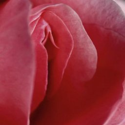 hot online porn game player homosexual eroticism shemale Sesegma35, Pocc, 