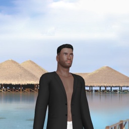 3Dsex game playing AChat community member heterosexual devoted boy JREuro, 