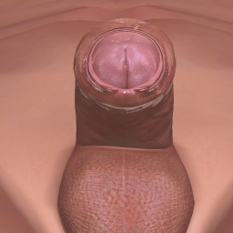 adults like heterosexual sodomist boy Sapperdaddy, My dick,  play AChat online sex games