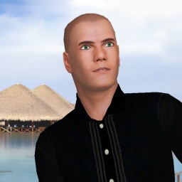 adults enjoying 3D sex games like heterosexual passionate boy Lonewaya, united states, 