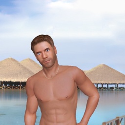 enjoy virtual sex games with mates like heterosexual passionate boy Joker463, USA, 