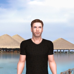 multiplayer virtual sex game player heterosexual sodomist boy Nightshade94, 