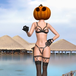 3Dsex game playing AChat community member homosexual bugger girl Yeeter69, 