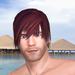 hot heterosexual sodomist boy Nells82, usa,  enjoys online 3Dsex