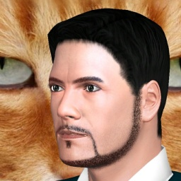 sexgame online MMO playing with adult member heterosexual emotional boy Alfa45, me soy casado con una desaparecida !