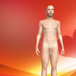 see bisexual sodomist boy Wickedboat2,  while playing porn game online