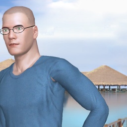 adults enjoying 3D sex games like heterosexual bugger boy SUPERTONGUE, USA, Switch, 