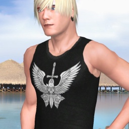 partner heterosexual conversable boy Aleris,  for adult online game playing