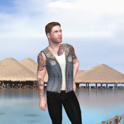 enjoy virtual sex games with mates like heterosexual emotional boy Djblind, America, 