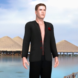 sexgame online MMO playing with adult member heterosexual erotomanic boy BigDickGuy, 