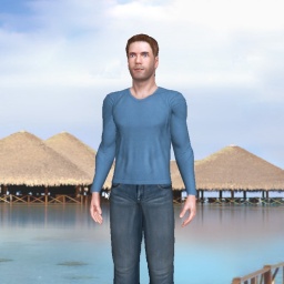 multiplayer virtual sex game player heterosexual brute boy DBOTT18, 