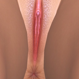 connect and play virtual 3D sex with bisexual narcissist girl Lil_slave_, And females, 