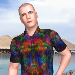 see bisexual sex maniac boy Isorazor3,  while playing porn game online