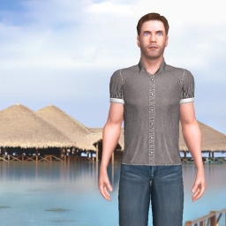 multiplayer virtual sex game player heterosexual passionate boy TexWes, USA, 