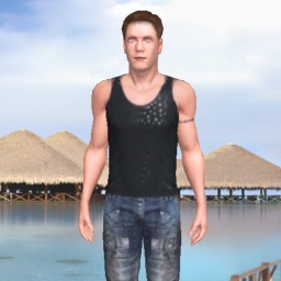 3Dsex game playing AChat community member heterosexual sentimental boy Madomenol, 