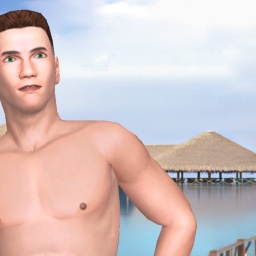 see bisexual sodomist boy Dtame60, usa,  while playing porn game online