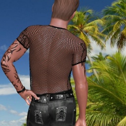 multiplayer virtual sex game player heterosexual sensual boy Micha001, germany, Von zart bis hart ,   