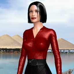3Dsex game playing AChat community member bisexual wordy shemale Soniatransex, 