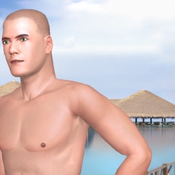 3Dsex game playing AChat community member heterosexual lush boy Fallen, 