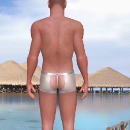 partner  hot boy ViperOR,  for adult online game playing