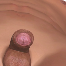 for 3D virtual sex game, join and contact bisexual bugger boy Pppiskubrot, 