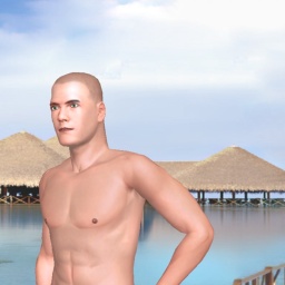 3Dsex game playing AChat community member heterosexual bugger boy Tattooguy12, 