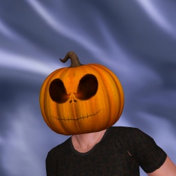 sexgame online MMO playing with adult member heterosexual wordy boy MembroDOnore, vieni