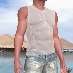 multiplayer virtual sex game player bisexual pervert boy Fardan, USA, 