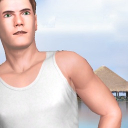 multiplayer virtual sex game player heterosexual lecher boy X69T, Show, 