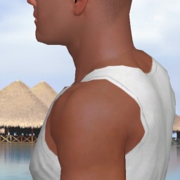 3Dsex game playing AChat community member heterosexual erotomanic boy Frostfn, 