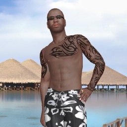 see heterosexual sodomist boy DawsonBull,  while playing porn game online