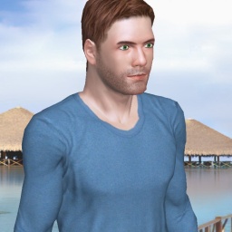play online virtual sex game with member heterosexual pervert boy Alan_2020, 