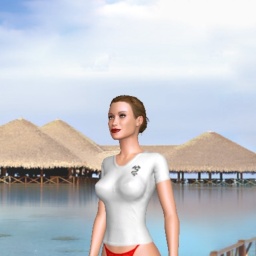 3Dsex game playing AChat community member bisexual wordy girl Henry_011, 