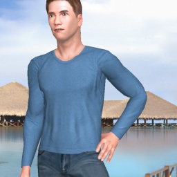 multiplayer virtual sex game player heterosexual lovesick boy Wilden2, Iran, 