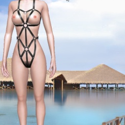 3Dsex game playing AChat community member  hot girl Elsa2000, 
