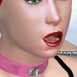 c01535792 0000001667941690