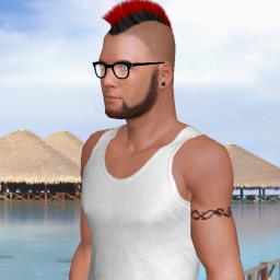 partner heterosexual lush boy Tatt2ed69,  for adult online game playing