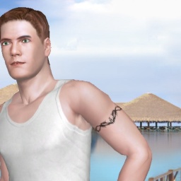 play virtual sex games with mate heterosexual hot boy RomanReigns, USA, 