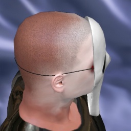 see bisexual sodomist boy Osammu,  while playing porn game online