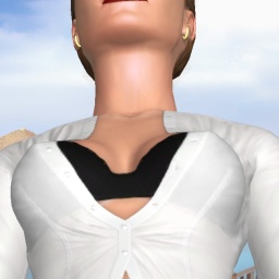 3Dsex game playing AChat community member heterosexual erotomanic girl MissSanders, naughty secretary needs work ;)