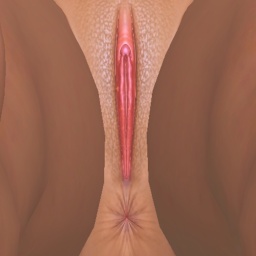 enjoy virtual sex games with mates like heterosexual erotomanic girl Tropicalia, 