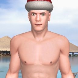 partner heterosexual fiend boy Niomking,  for adult online game playing